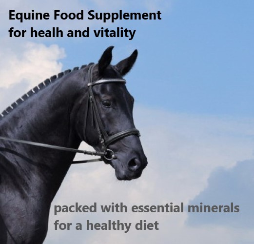 Equine Food Supplement 2kg - Image 5
