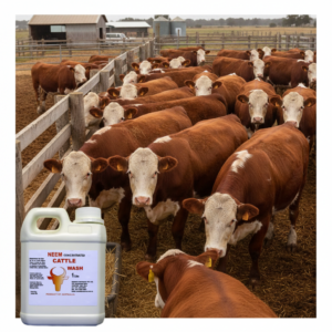 1L Cattle Wash Concentrate