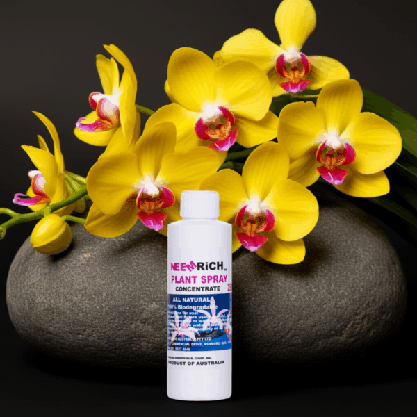 Orchid Spray 250ml concentrate - Image 2