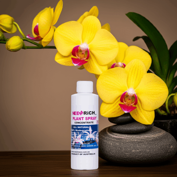 Orchid Spray 250ml concentrate