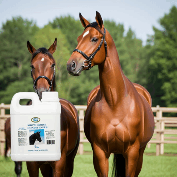 Show Horse Conditioner 1 Litre - Image 4