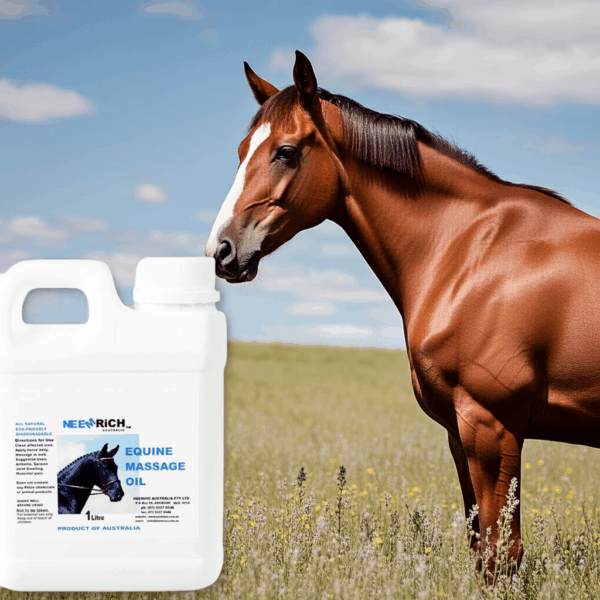 1L Equine Massage Oil - Image 3