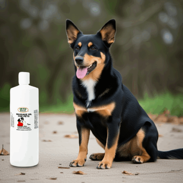 Massage Oil For Dogs & Pets    1 Litre - Image 3