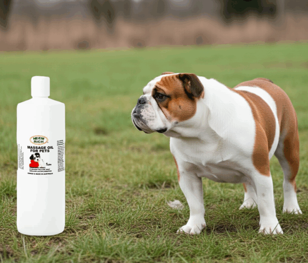 Massage Oil For Dogs & Pets    1 Litre - Image 2