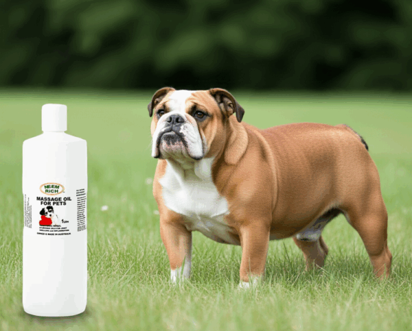 Massage Oil For Dogs & Pets    1 Litre