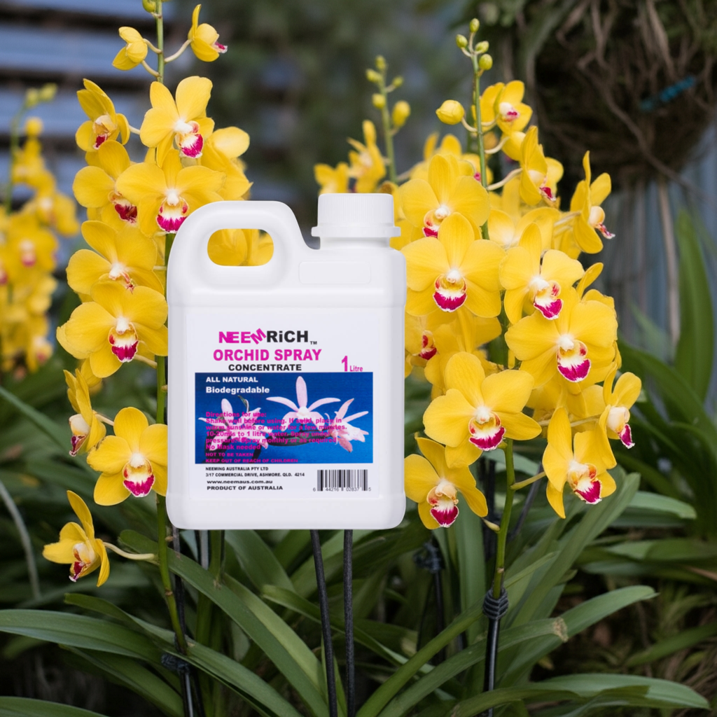 Orchid Plant Spray concentrate 1 Litre - Image 6