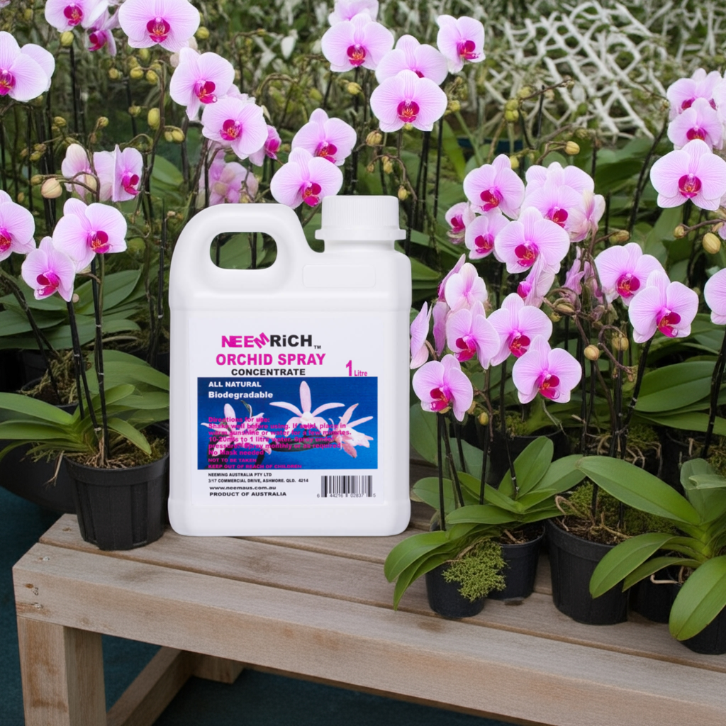 Orchid Plant Spray concentrate 1 Litre