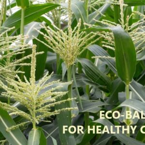 eco-balance plant supplement 380g