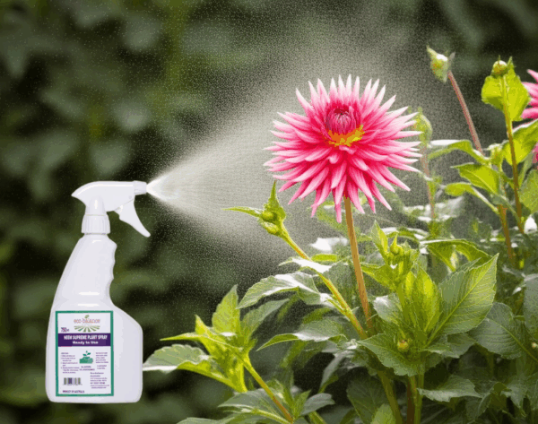 eco-balance Supreme Plant Spray 750ml - Image 5