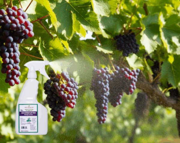 eco-balance Supreme Plant Spray 750ml - Image 4