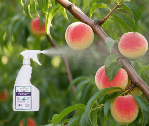 eco-balance Supreme Plant Spray 750ml - Image 3