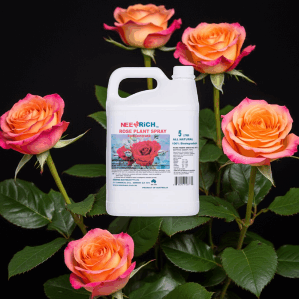 ROSE SPRAY 5 Litres