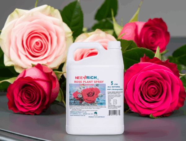 ROSE SPRAY 5 Litres - Image 3