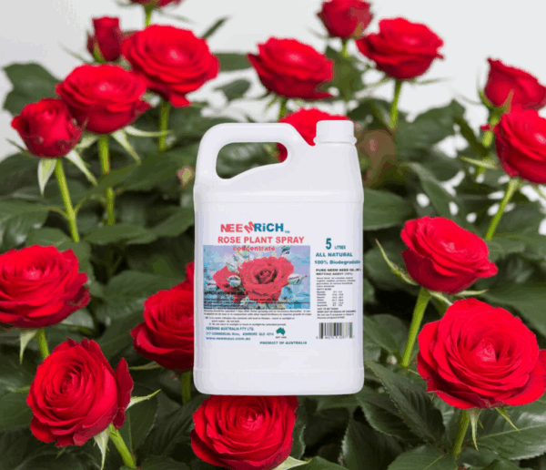 ROSE SPRAY 5 Litres - Image 4