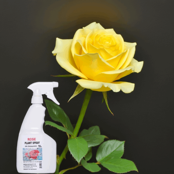ROSE SPRAY 750ml