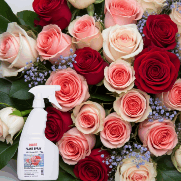 ROSE SPRAY 750ml - Image 6