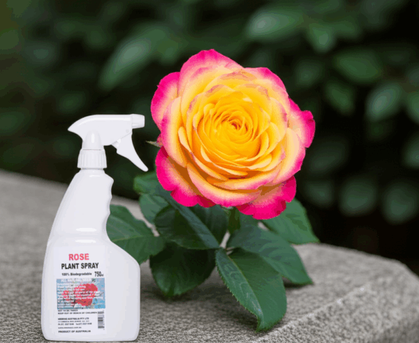 ROSE SPRAY 750ml - Image 2