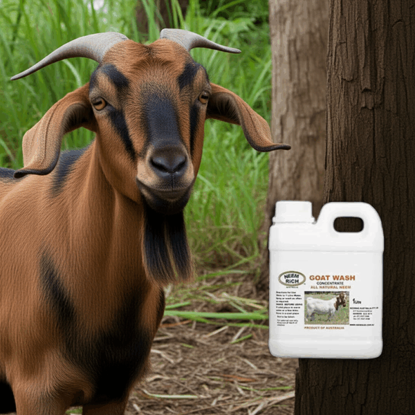 1L Goat Wash