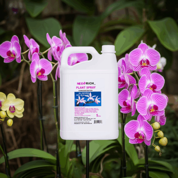 5L Orchid Spray concentrate - Image 6