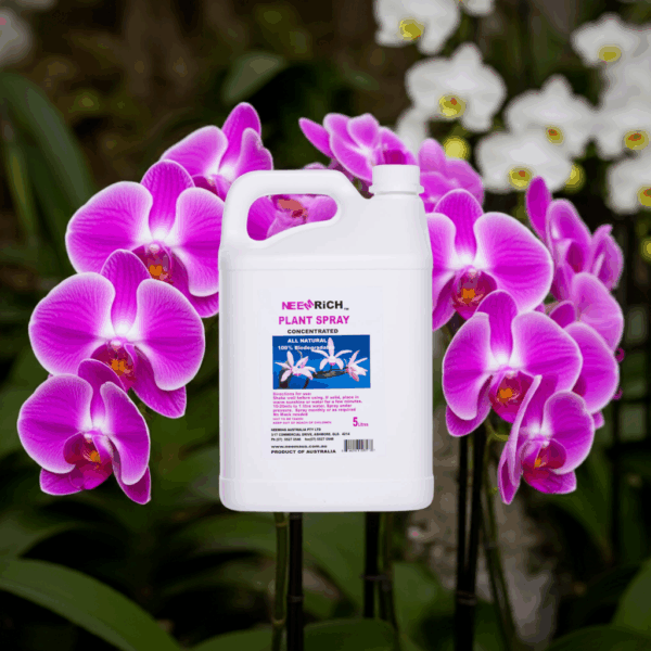 5L Orchid Spray concentrate