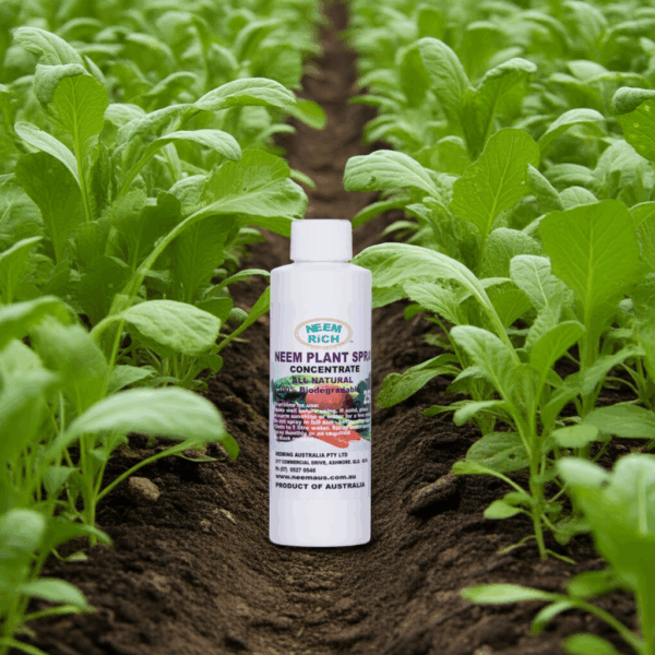 Neem Plant Spray Concentrate - 250ml (8.5 fl ozs)
