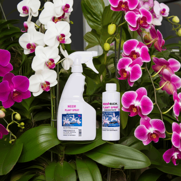 Orchid Pack Duo - Image 4