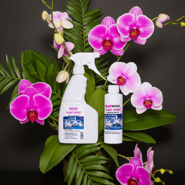 Orchid Spray 750ml - Image 5