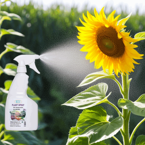 Plant Spray 750ml - Image 5