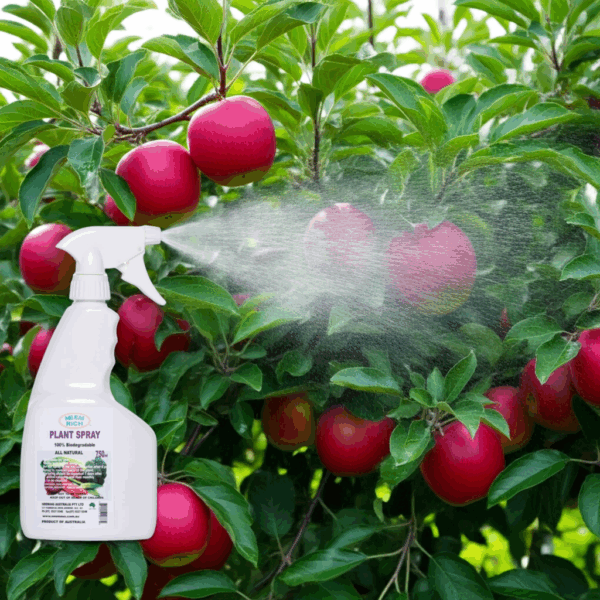 Plant Spray 750ml - Image 3